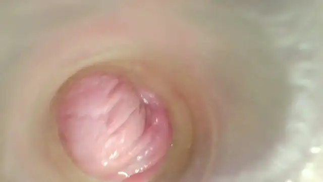 karol_stom's Live XXX Chat