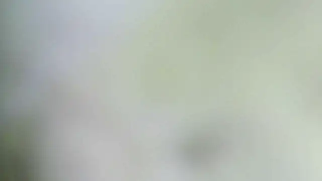 karol_stom Live chatroom