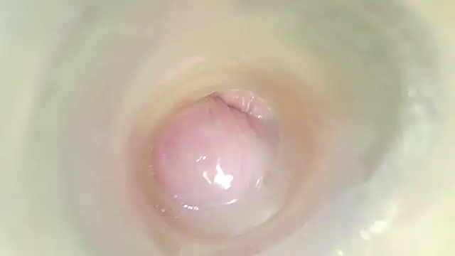 karol_stom 웹캠 쇼