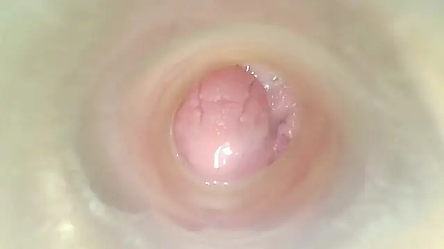 karol_stom 网络视讯表演