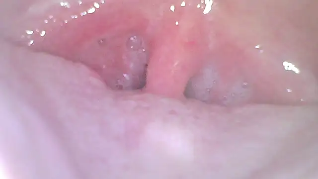 karol_stomのウェブカメラショー