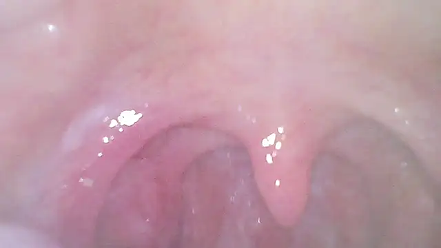 karol_stom লাইভ XXX চ্যাট
