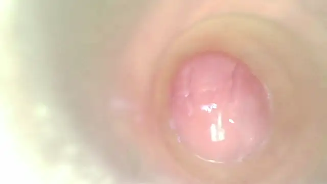 karol_stomのウェブカメラショー