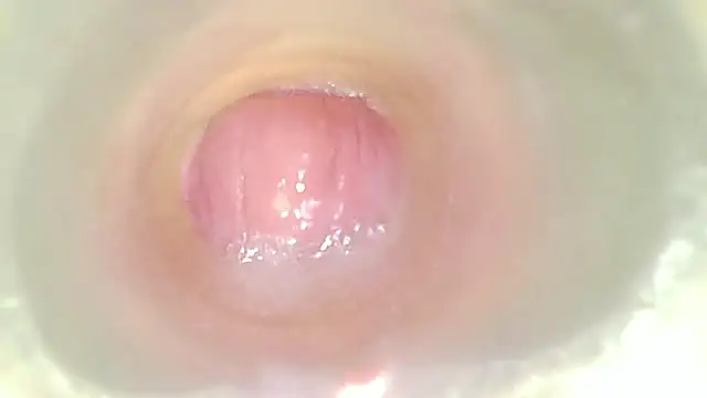 karol_stom's Webcam Show