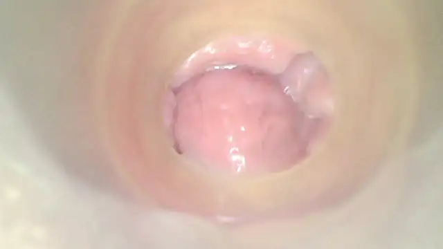 karol_stom 웹캠 쇼