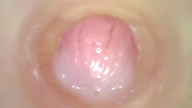karol_stom 웹캠 쇼