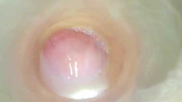karol_stom's Live XXX Chat