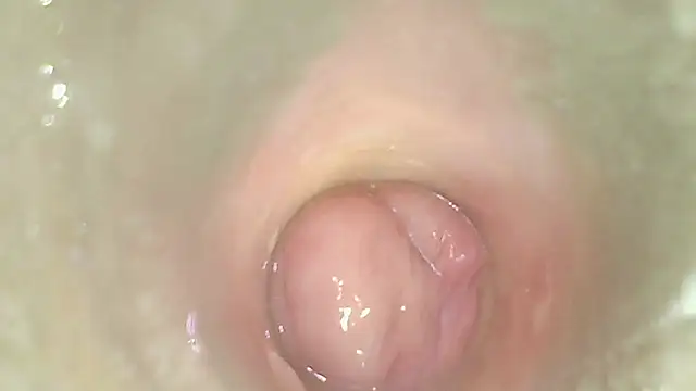 karol_stom's Live XXX Chat