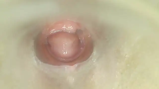 karol_stom's Live XXX Chat