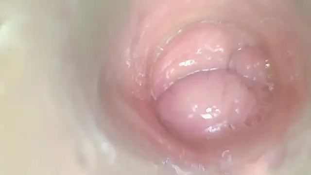 karol_stom 网络视讯表演