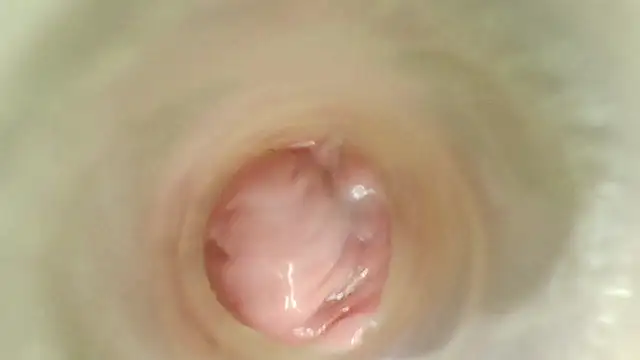 Chat +18 de karol_stom ao vivo