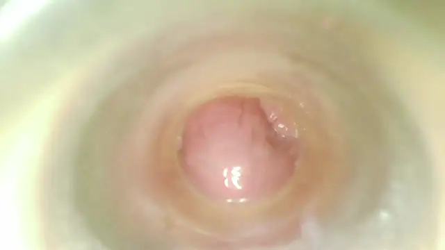 Show webcam de karol_stom