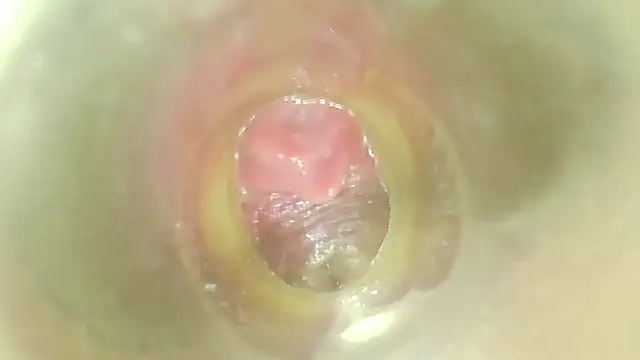 karol_stom 라이브 XXX 채팅