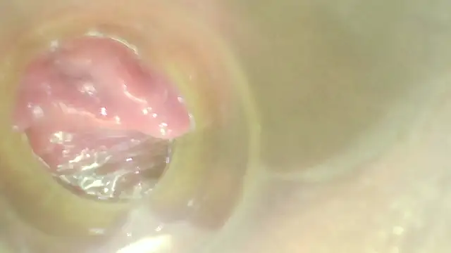 karol_stom XXX чат на живо