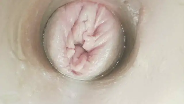 عرض كام karol_stom