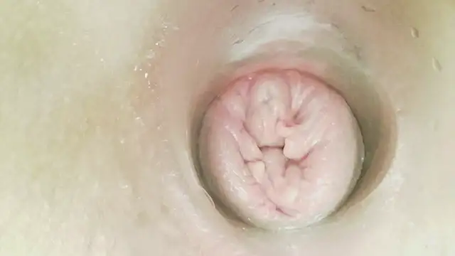 karol_stom 网络视讯表演