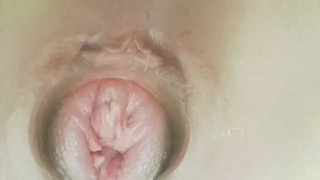 عرض كام karol_stom