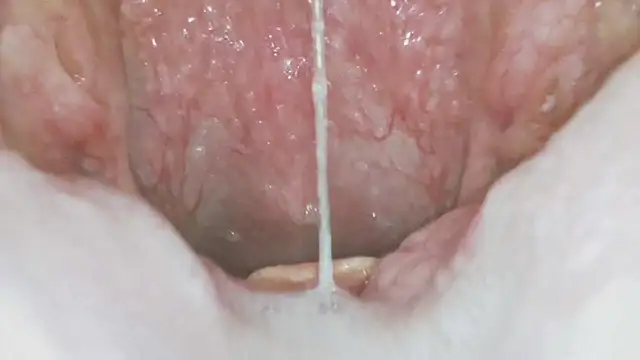 karol_stom লাইভ XXX চ্যাট