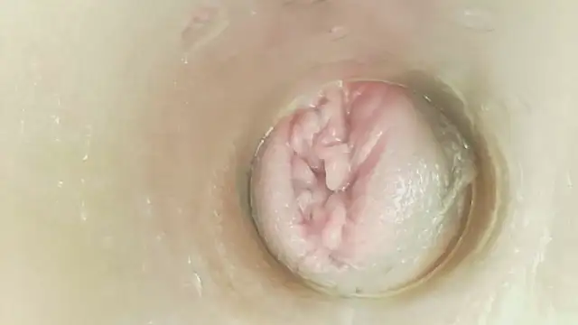 karol_stom – Kamerová šou