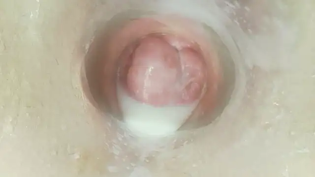 karol_stom ওয়েবক্যাম শো