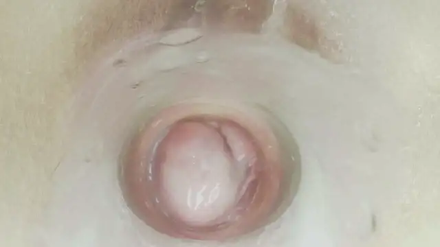 عرض كام karol_stom