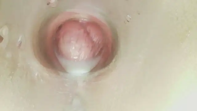 karol_stom – Kamerová šou