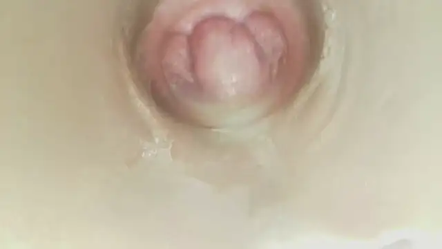 karol_stom 网络视讯表演