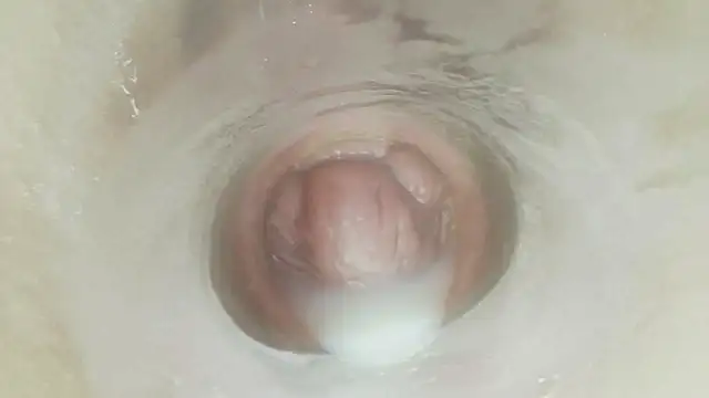 Pertunjukan Kamera Web karol_stom