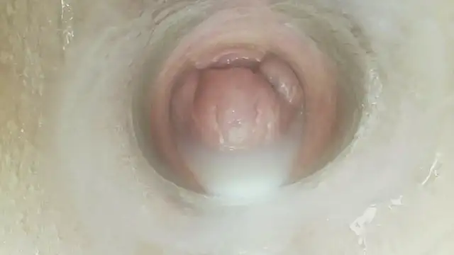 karol_stom 웹캠 쇼