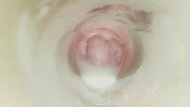 karol_stom – webcam-show