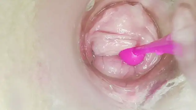 karol_stom 网络视讯表演