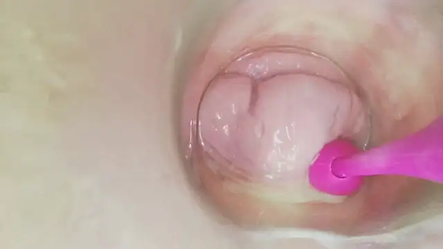 karol_stomのウェブカメラショー