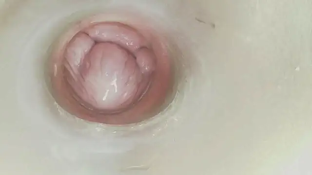 عرض كام karol_stom