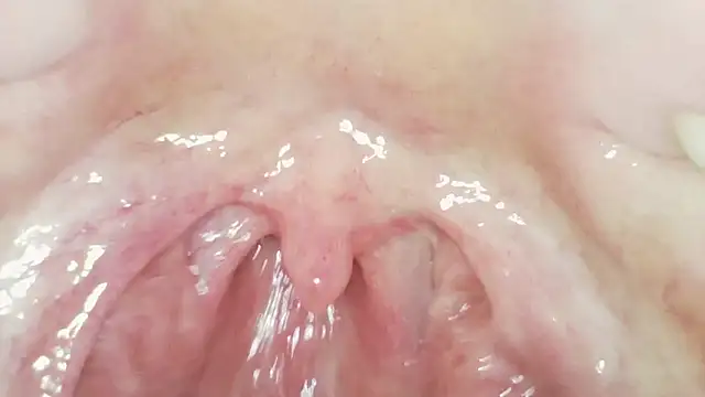 karol_stom 웹캠 쇼
