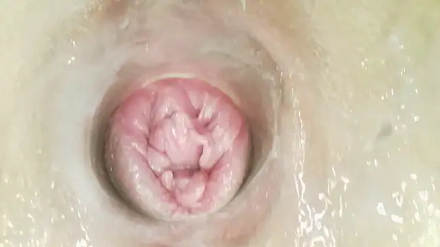 karol_stom ওয়েবক্যাম শো