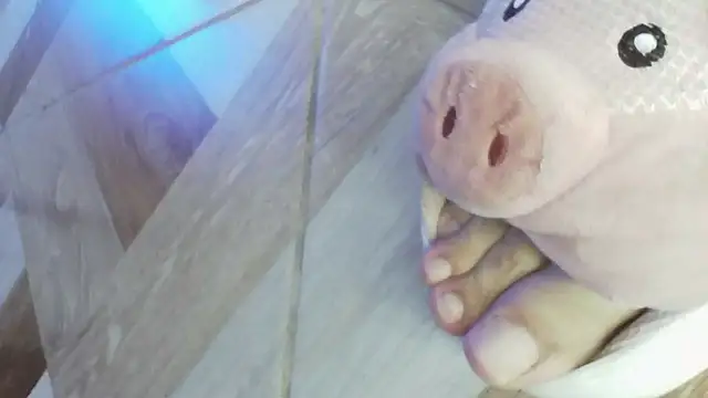 karol_stomのウェブカメラショー