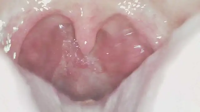 karol_stom 라이브 XXX 채팅