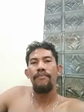 musehi17 Show Webcam