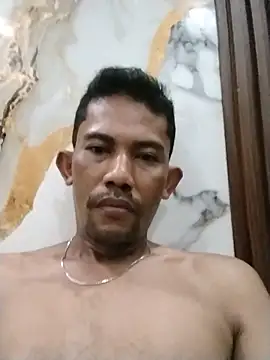 musehi17 Show Webcam