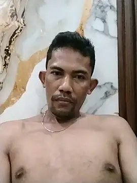 musehi17 Show Webcam