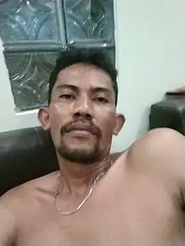 musehi17 Show Webcam
