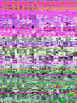 barcode_bby1 Webcam Show