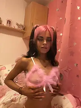Show modela barcode_bby1 na web-kameri