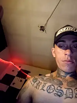 delagueto1n Webbikameraesitys