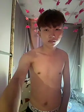 Show webcam de minhlinga