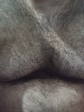 big__bearrr Webcam show