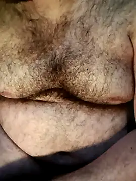 big__bearrr webcam show