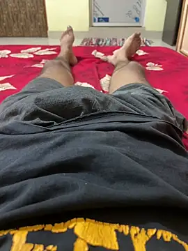 sstuv's Webcam Show