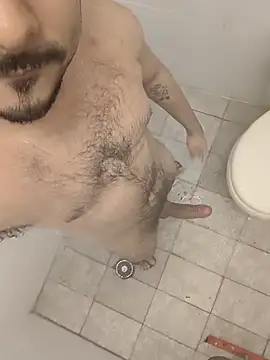 leolim220n Webbikameraesitys