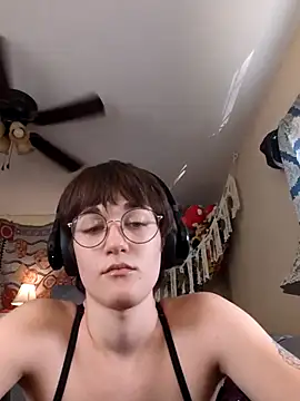 DecemberHoliday Show Webcam